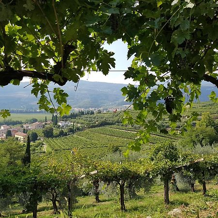 Agriturismo Valentina Cubi 弗马尼 外观 照片