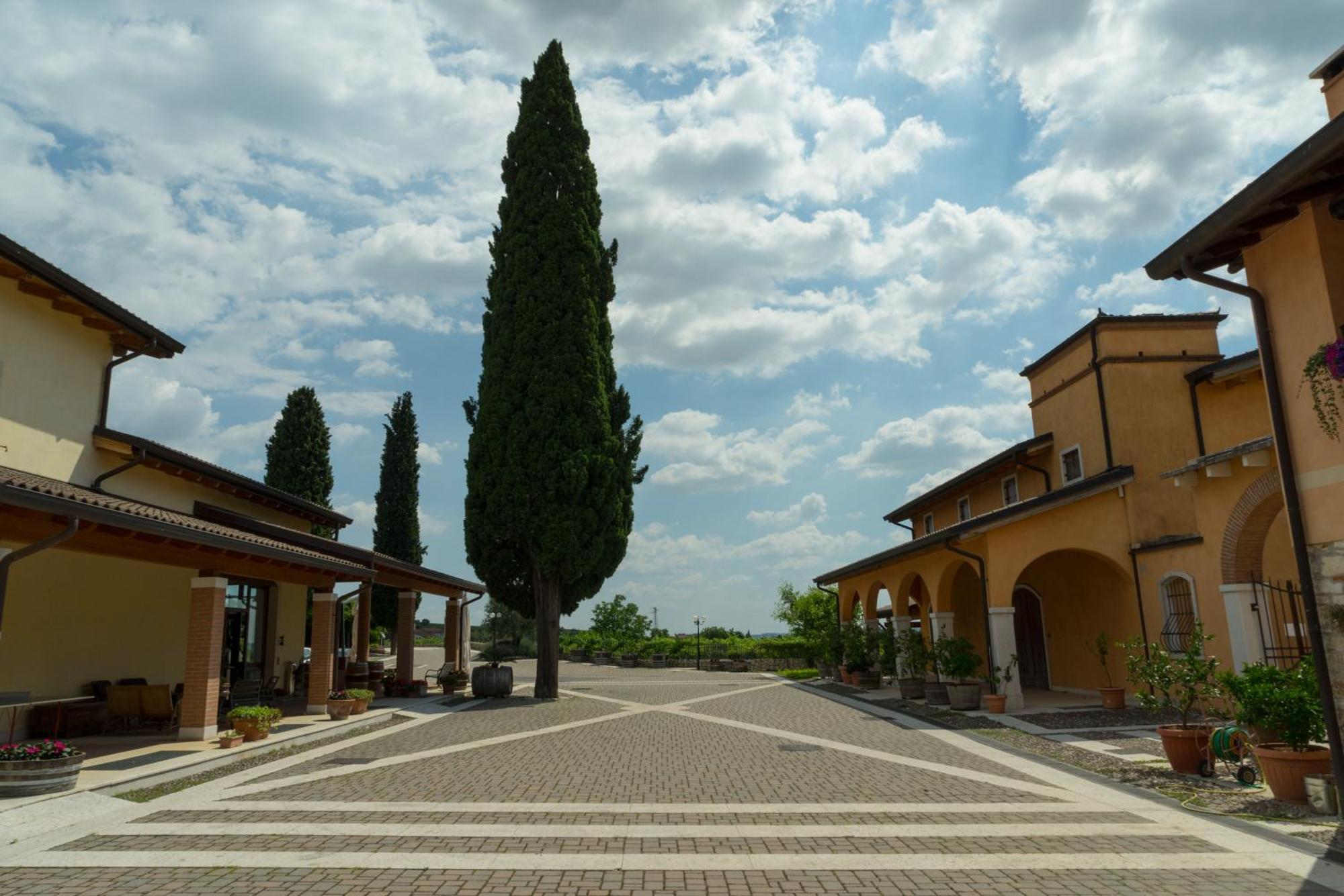 Agriturismo Valentina Cubi 弗马尼 外观 照片