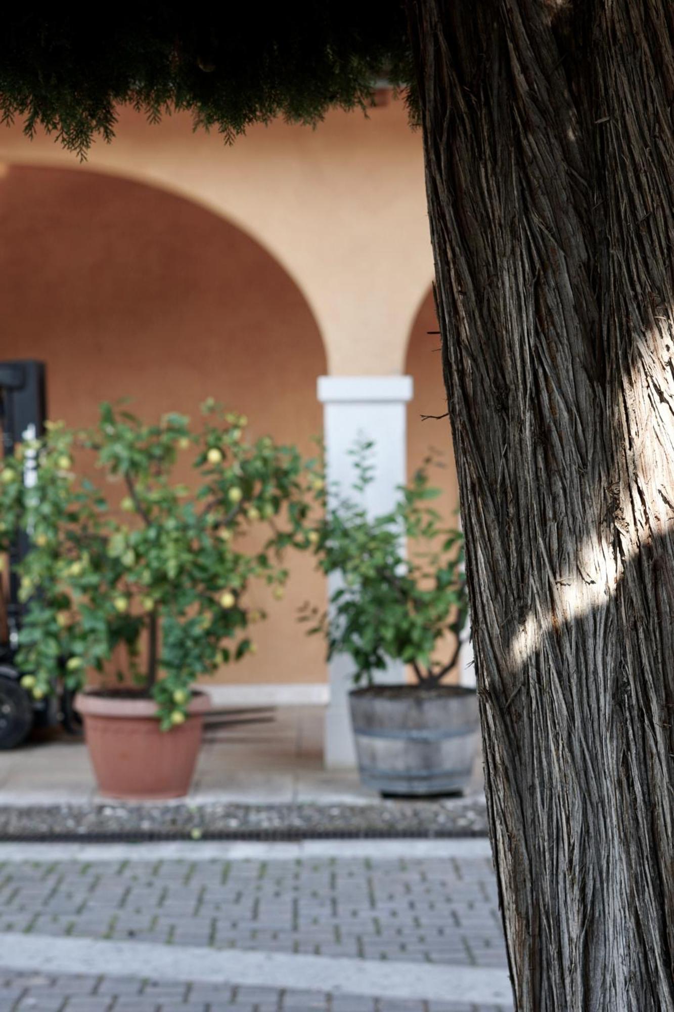 Agriturismo Valentina Cubi 弗马尼 外观 照片