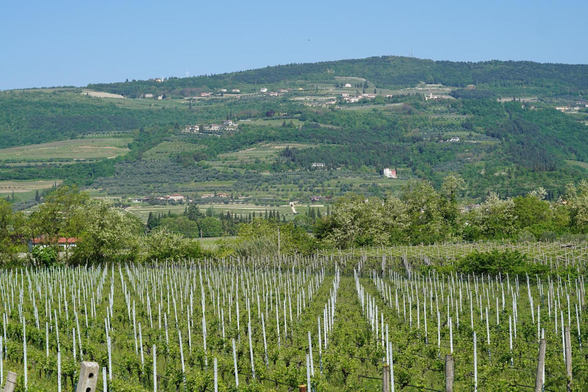 Agriturismo Valentina Cubi 弗马尼 外观 照片