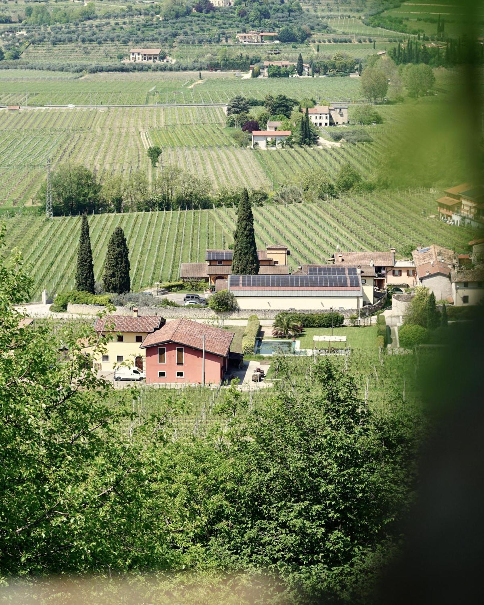 Agriturismo Valentina Cubi 弗马尼 外观 照片